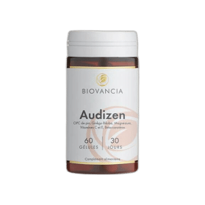Audizen