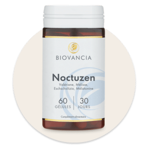 Noctuzen