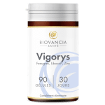 Vigorys